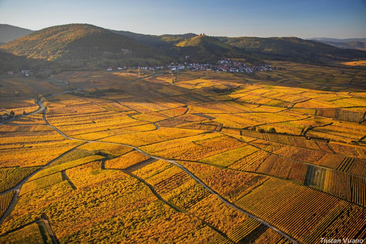 Paysage naturel près de l'hôtel