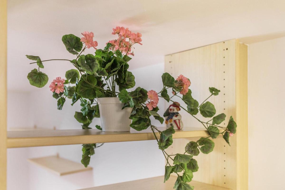 Residence Adamello Bilocale - Housity