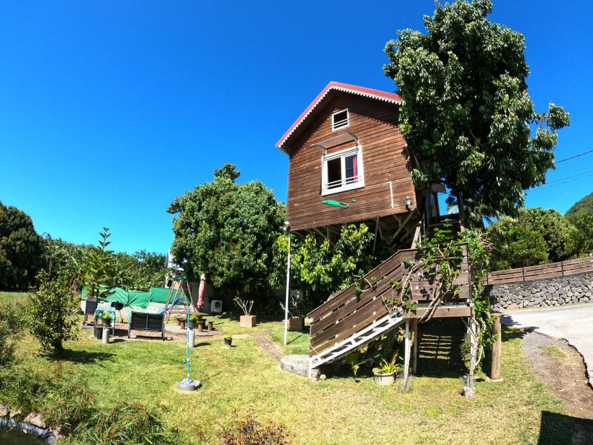 ti kaz perchée - Housity