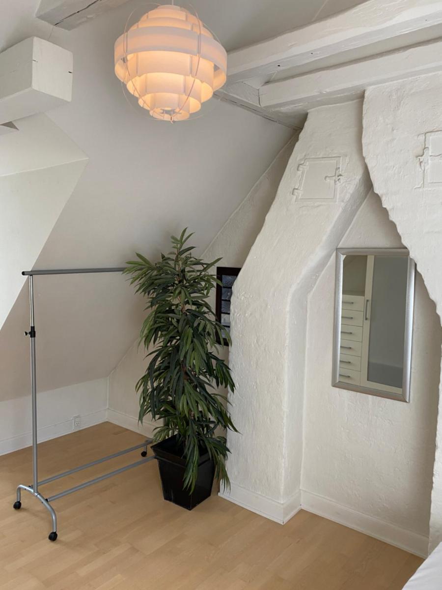Bright apartment in historic City Center - Housity