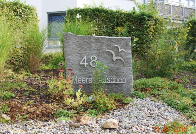 Ferienwohnung direkt am Meer - Housity