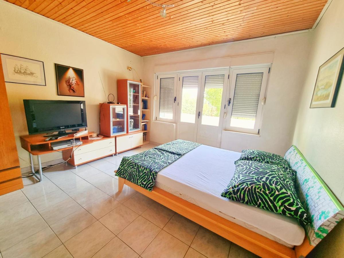 Apartments Discovery 2 - Housity