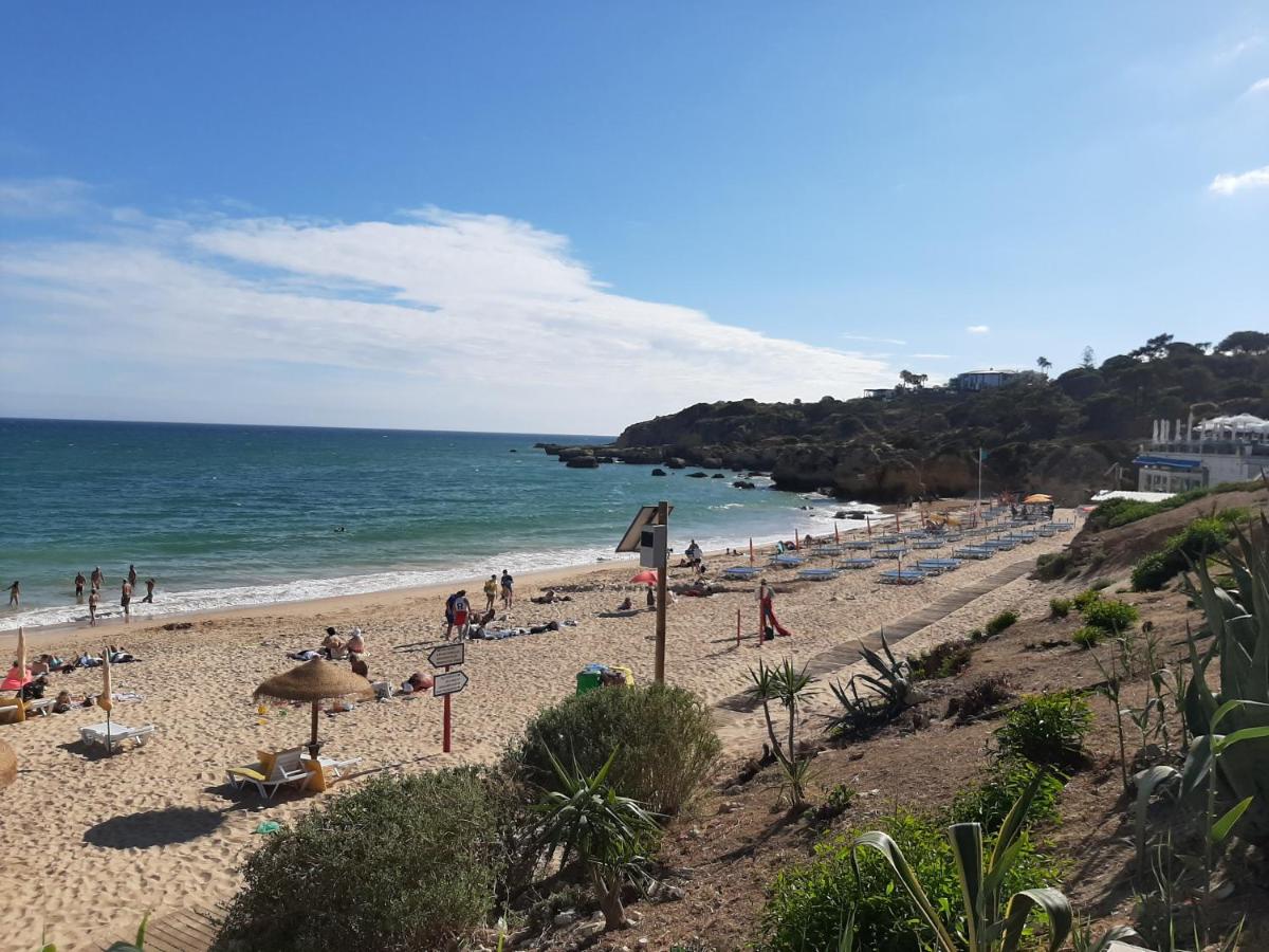 Beach Oura and Bars - Housity