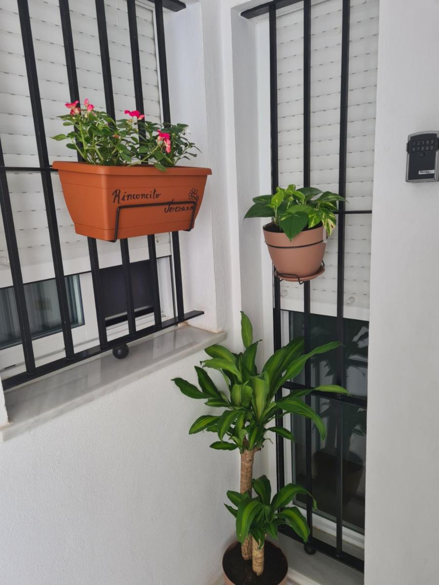 Rinconcito Jerezano - Housity