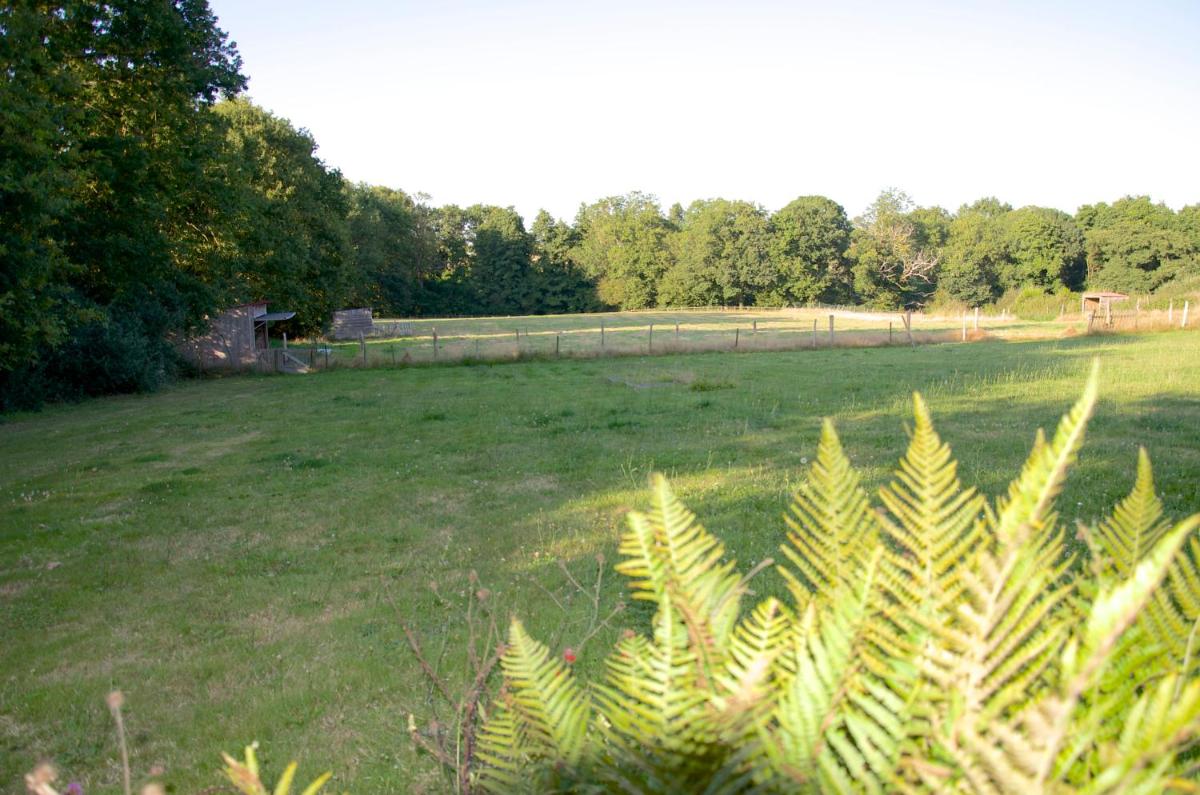 Gîte Le Champ Libre - Housity
