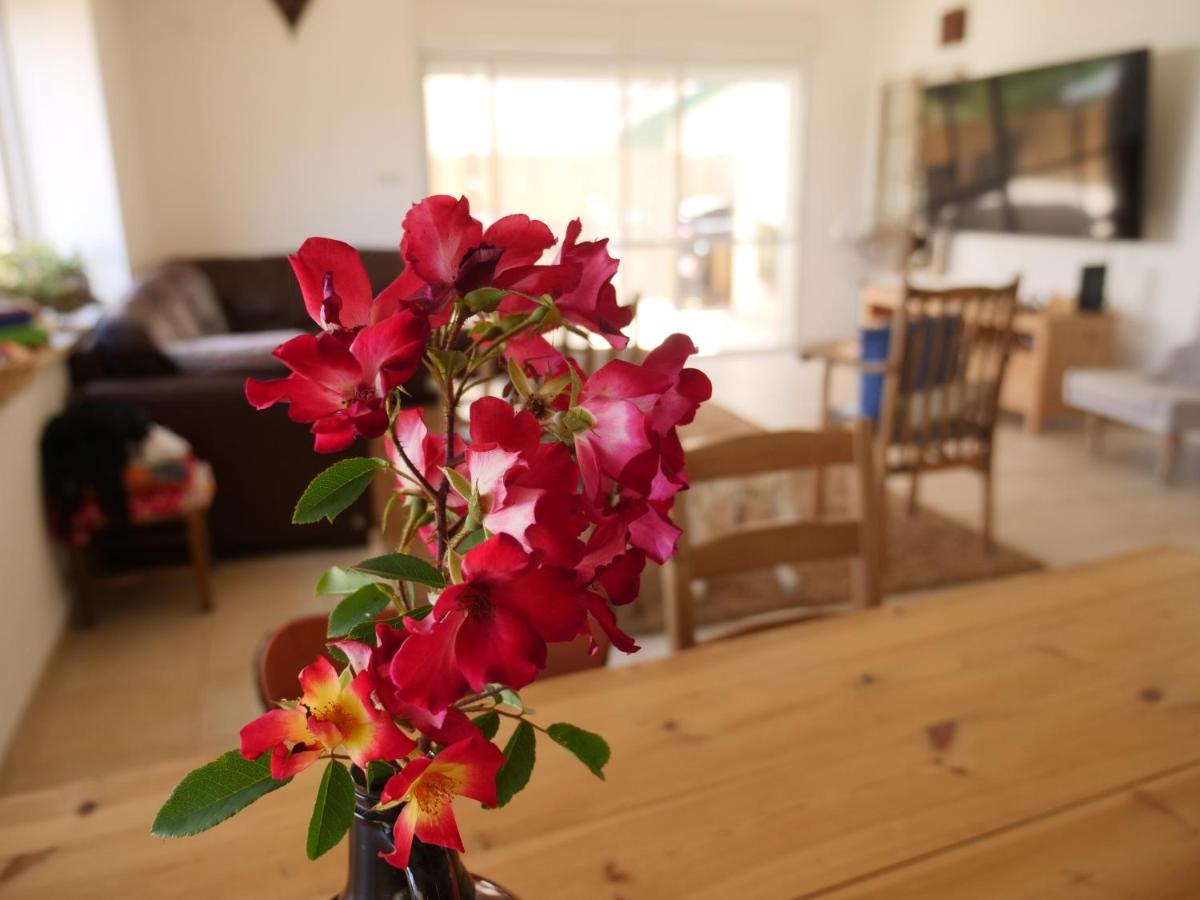 Oren's place - perfect for families & friend's - Housity