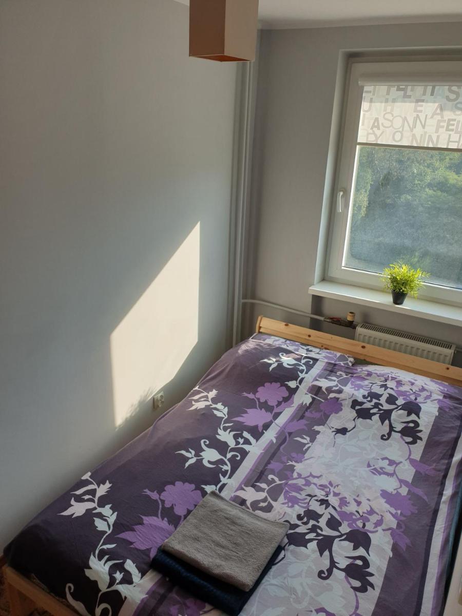 Sea View - Apartament z widokiem - Housity