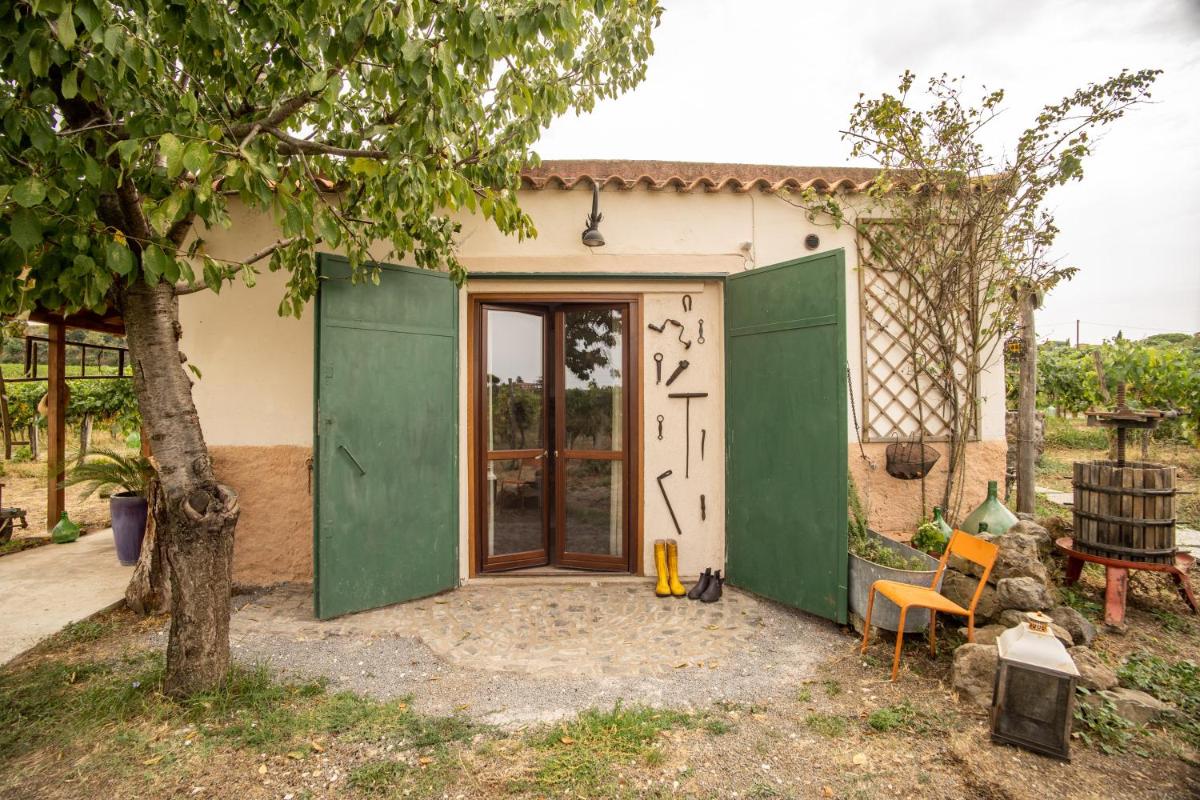 Un' Ottima Annata - La casa nel vigneto - Housity