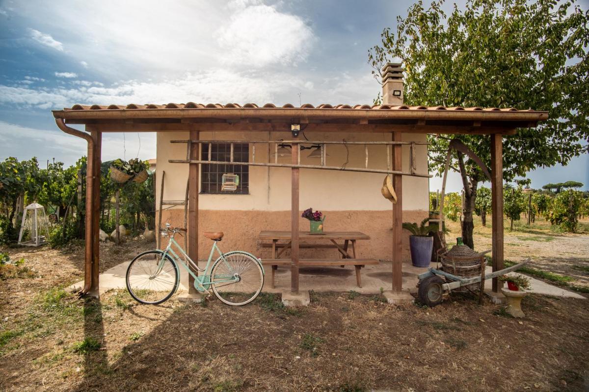 Un' Ottima Annata - La casa nel vigneto - Housity