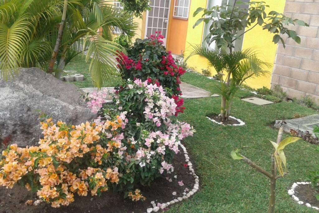 Casa en Temixco Morelos, alberca privada y asador. - Housity