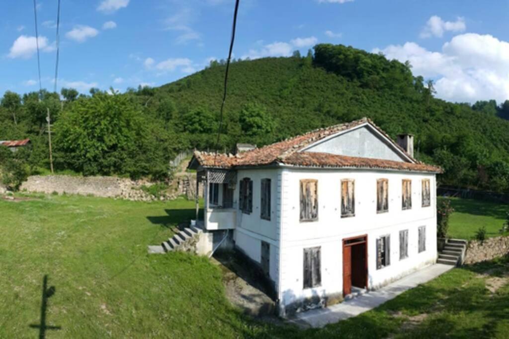 Doğa İle İç İçe Harika Bir Tatil - Housity