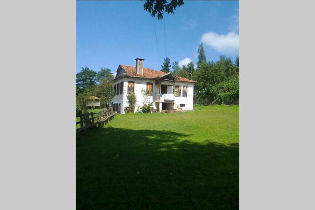 Suitetrails - Doğa İle İç İçe Harika Bir Tatil