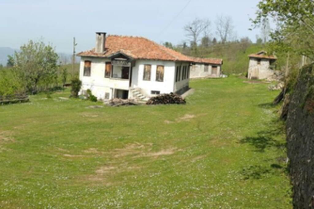 Suitetrails - Doğa İle İç İçe Harika Bir Tatil