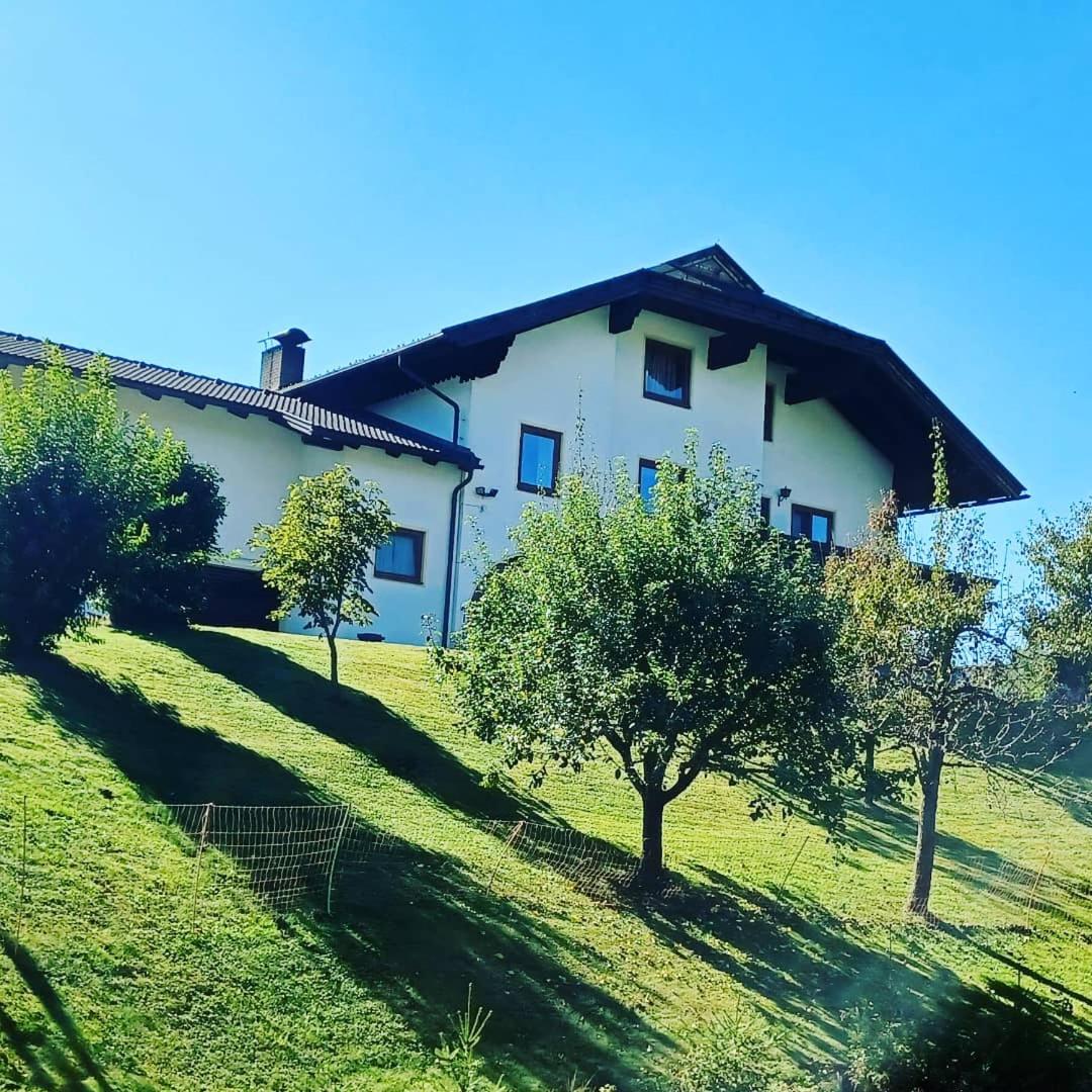 Ferienwohnung Schaller - Housity