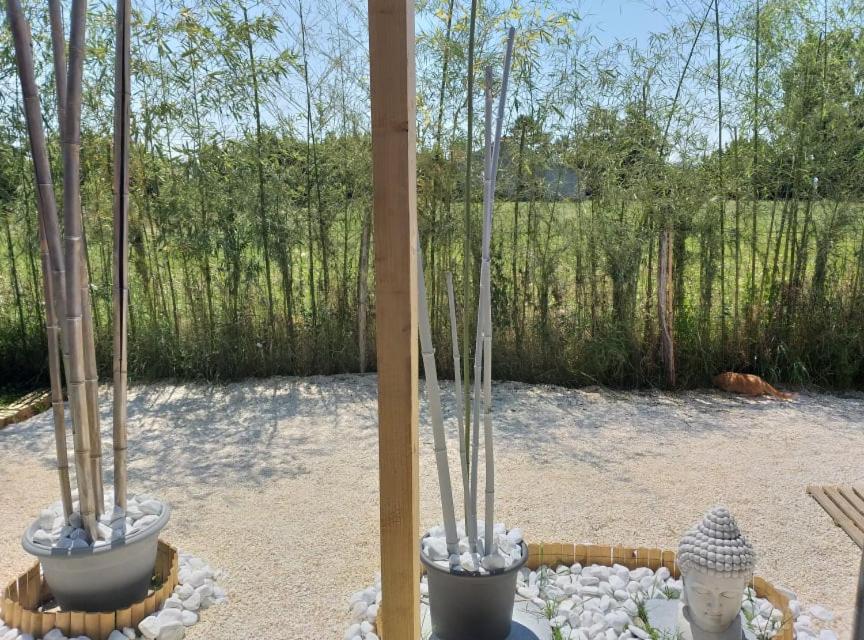 Suitetrails - Hébergement atypique à l'année avec bungalow, bulle et spa