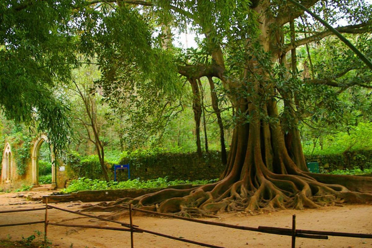 Um jardim no exterior de Hotel Quinta das Lagrimas - Small Luxury Hotels