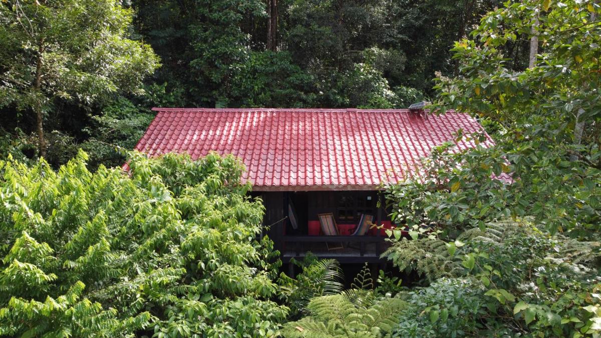 Yatama Rainforest Ecolodge - Housity