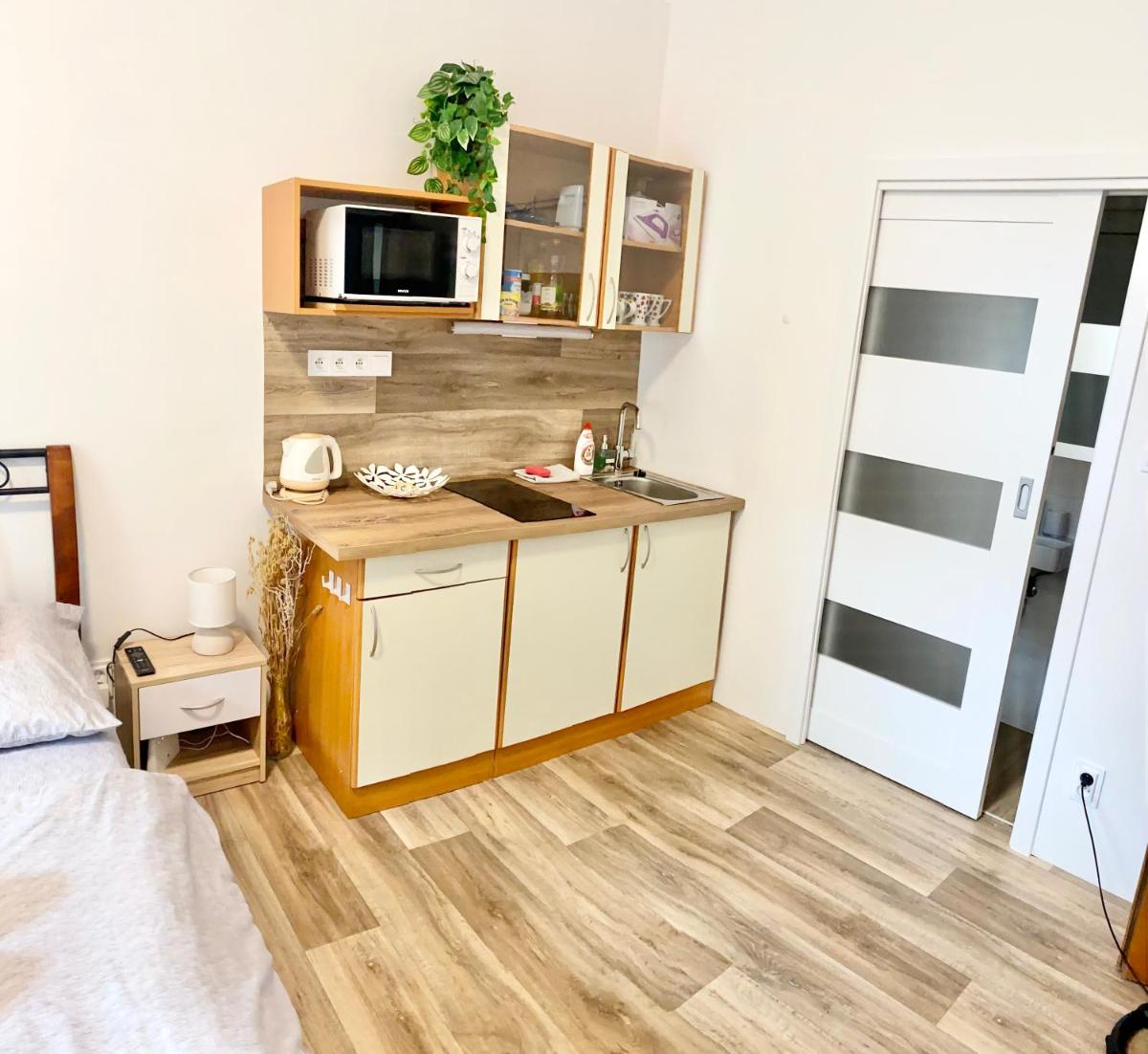 Private apartment - Park Olomouc - super lokalita - Housity