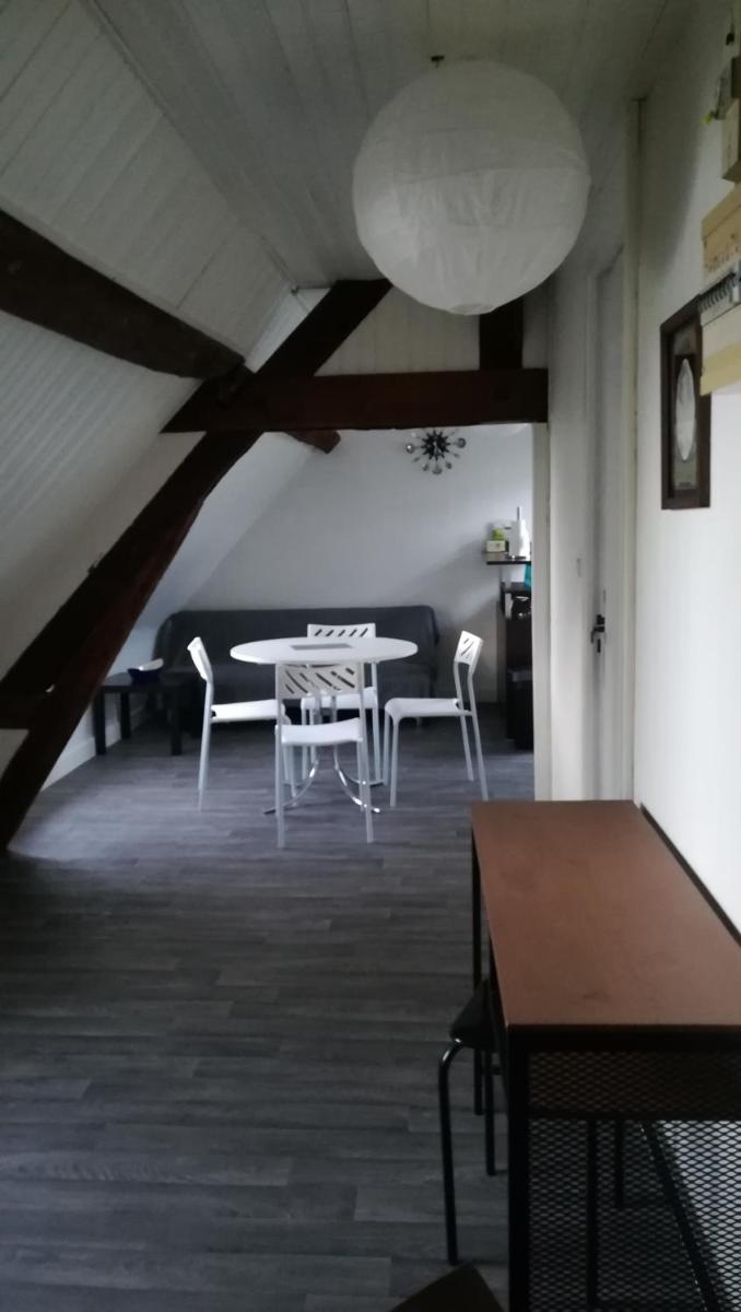 Appartement spacieux vue sur Loire proche du centre - Housity