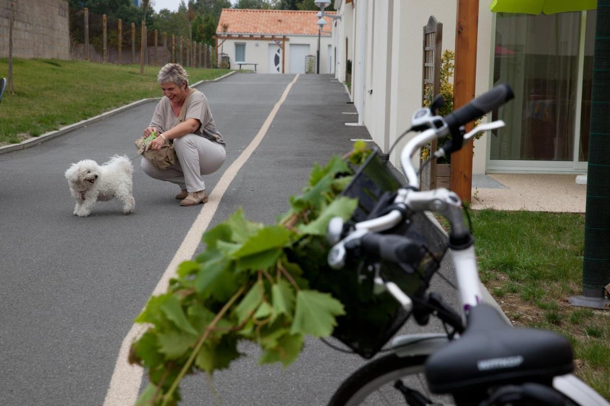 Animal ou animaux domestique(s) séjournant avec des clients dans l'établissement Résidence Les Océanes