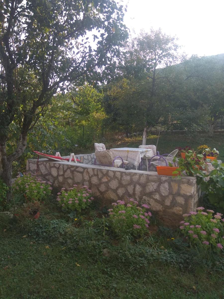 APARTMAN U BUKOVICKOJ BANJI ARANDJELOVAC - Housity
