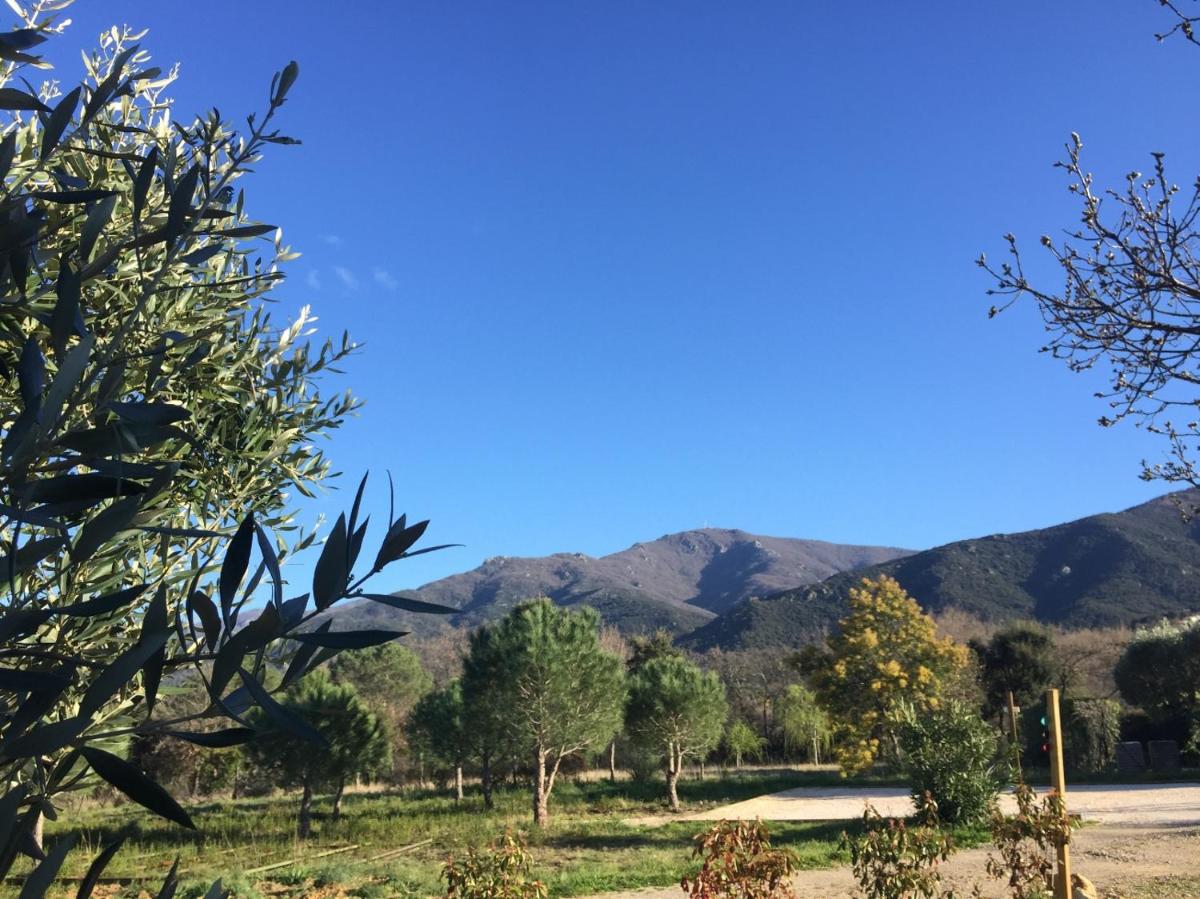 Domaine Pedra Llampada Gîtes Montagne - Housity