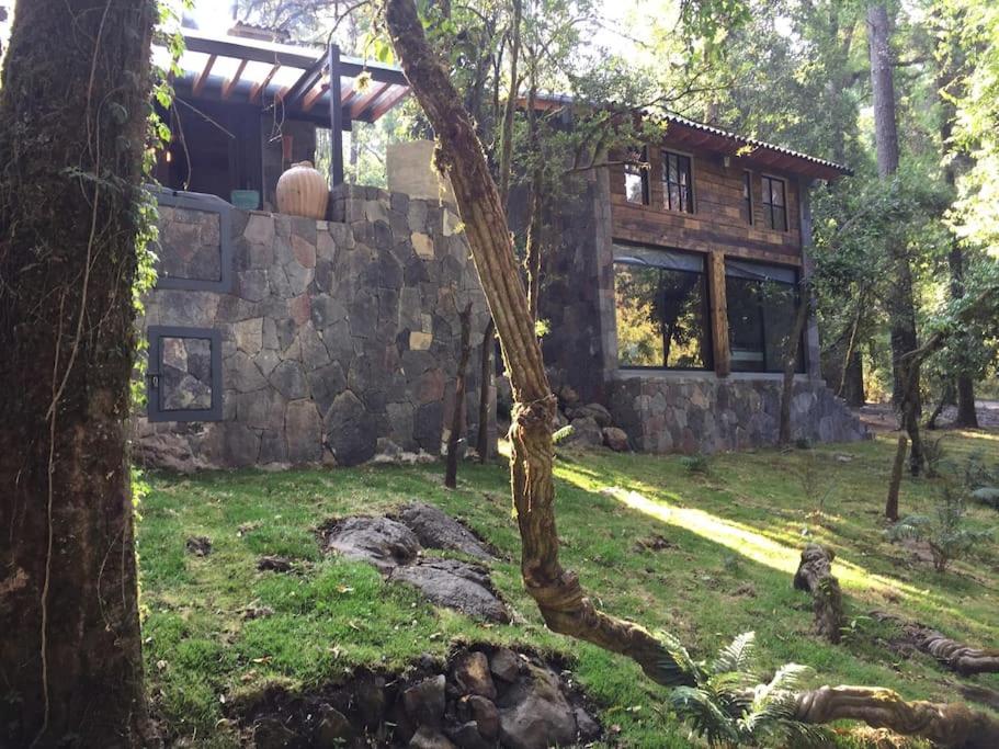 Suitetrails - CABANA en el bosque TRANQUILIDAD ABSOLUTA, UNICO