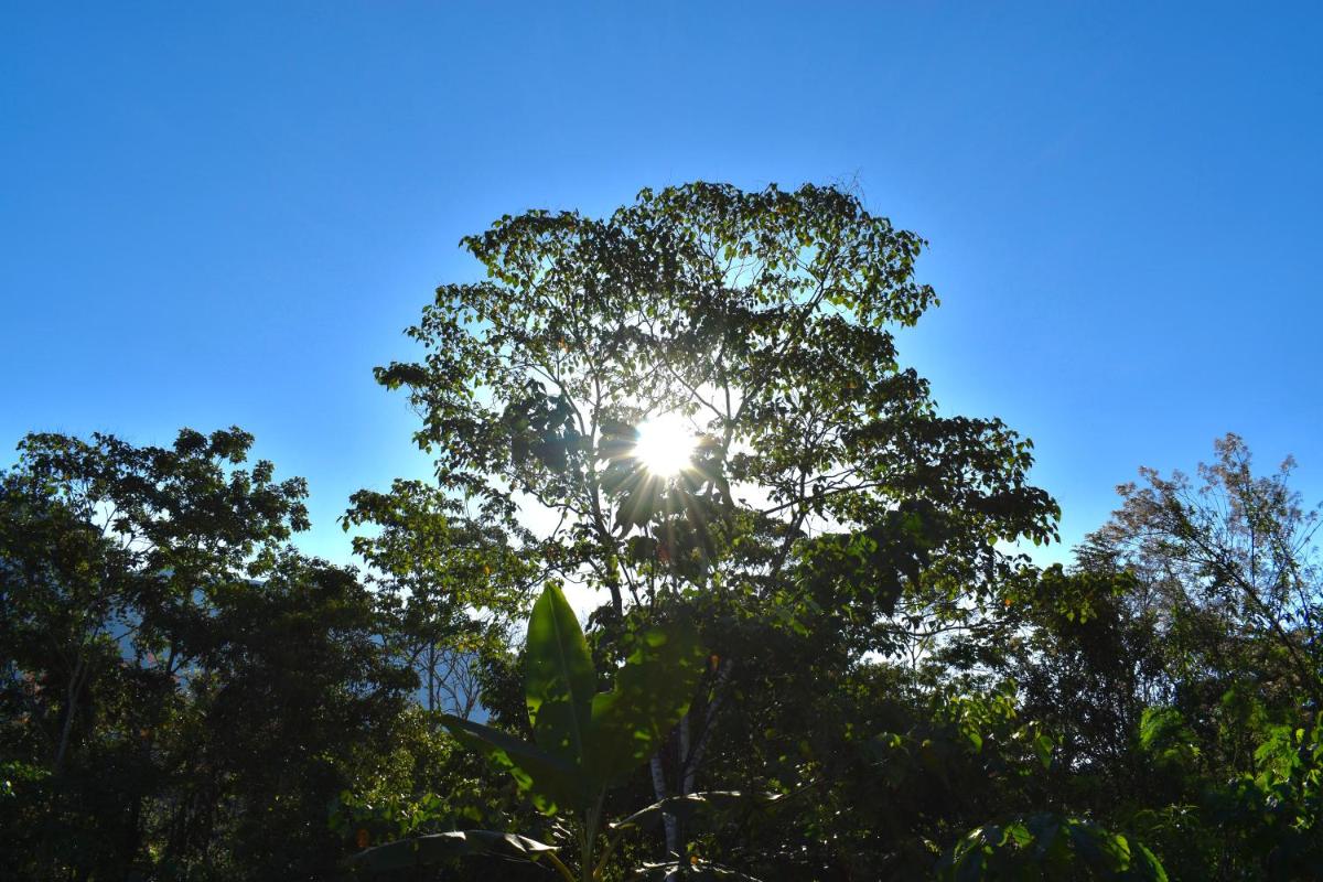 Bosque Guardian Lodge - Housity