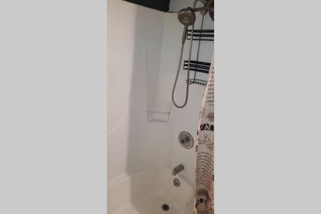 Southern Charm Vacation Rental - Housity