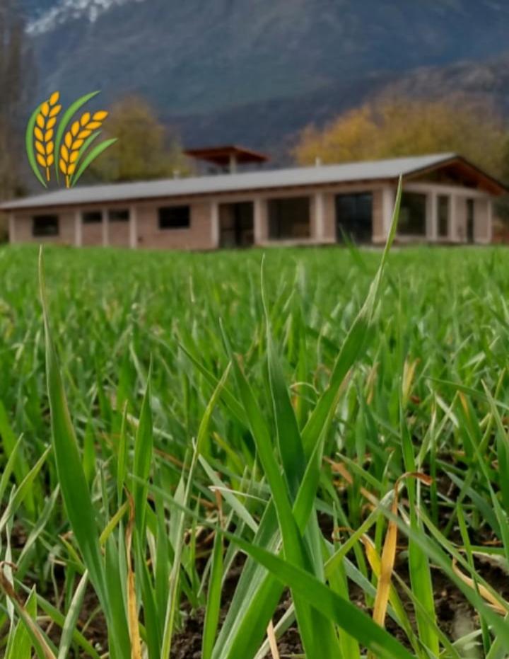 PUERTO HOSTEL - Housity