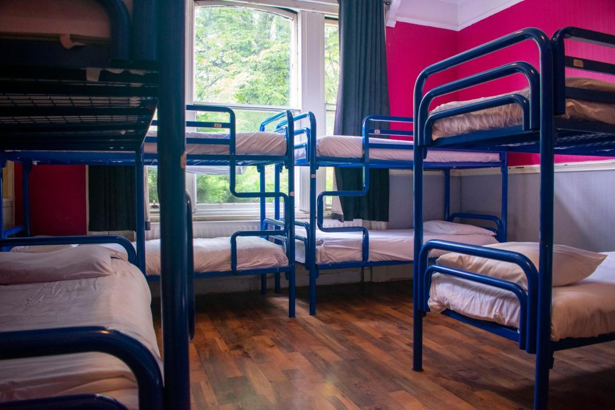 Paddy's Palace Belfast - Housity