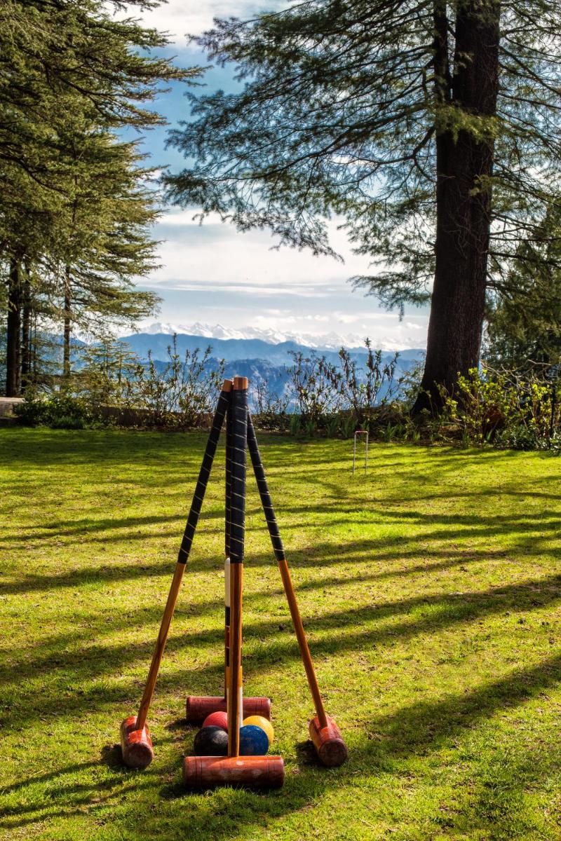 a swing set in the grass in a field at Wildflower Hall, An Oberoi Resort, Shimla in Shimla