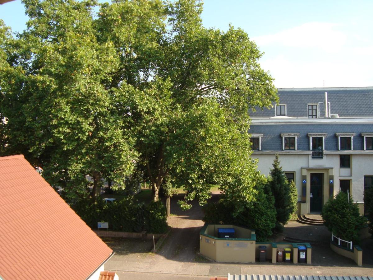 Trothaer Eck - Housity