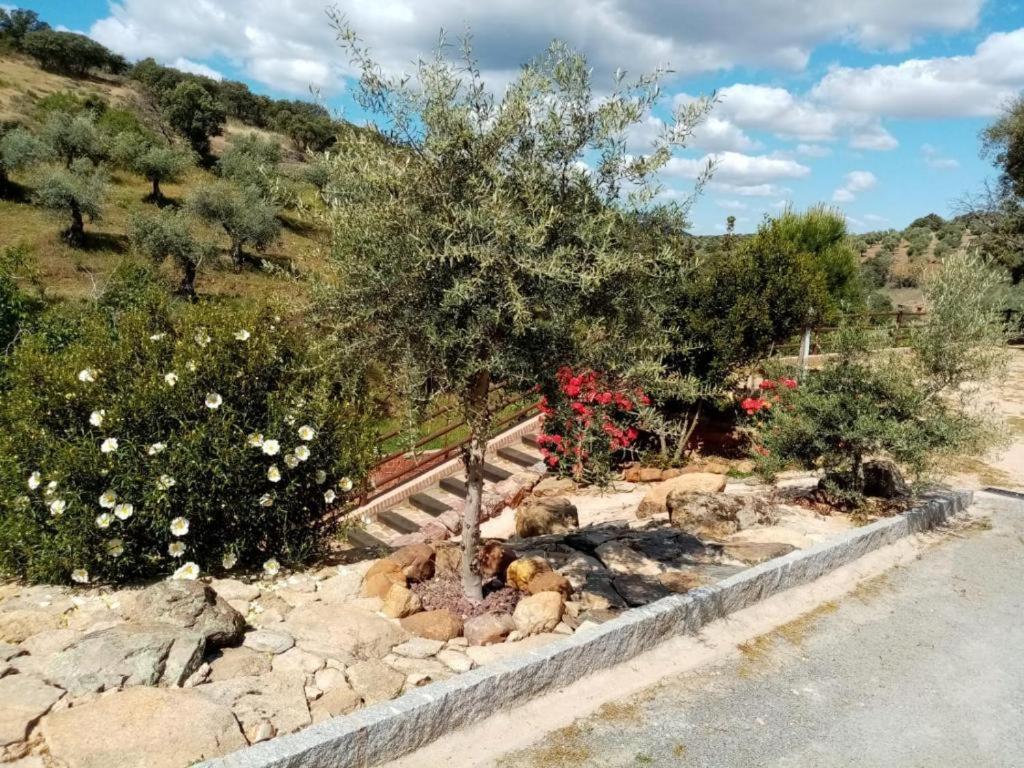 apartamentos turisticos la gitanilla - Housity