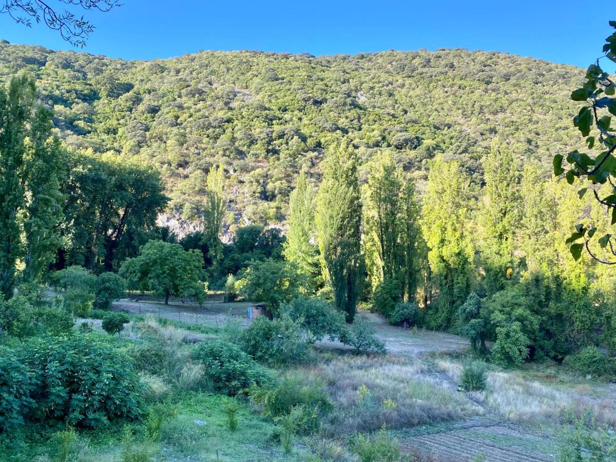 Stay Wild en Las Casitas de Huerta Arriba - Housity