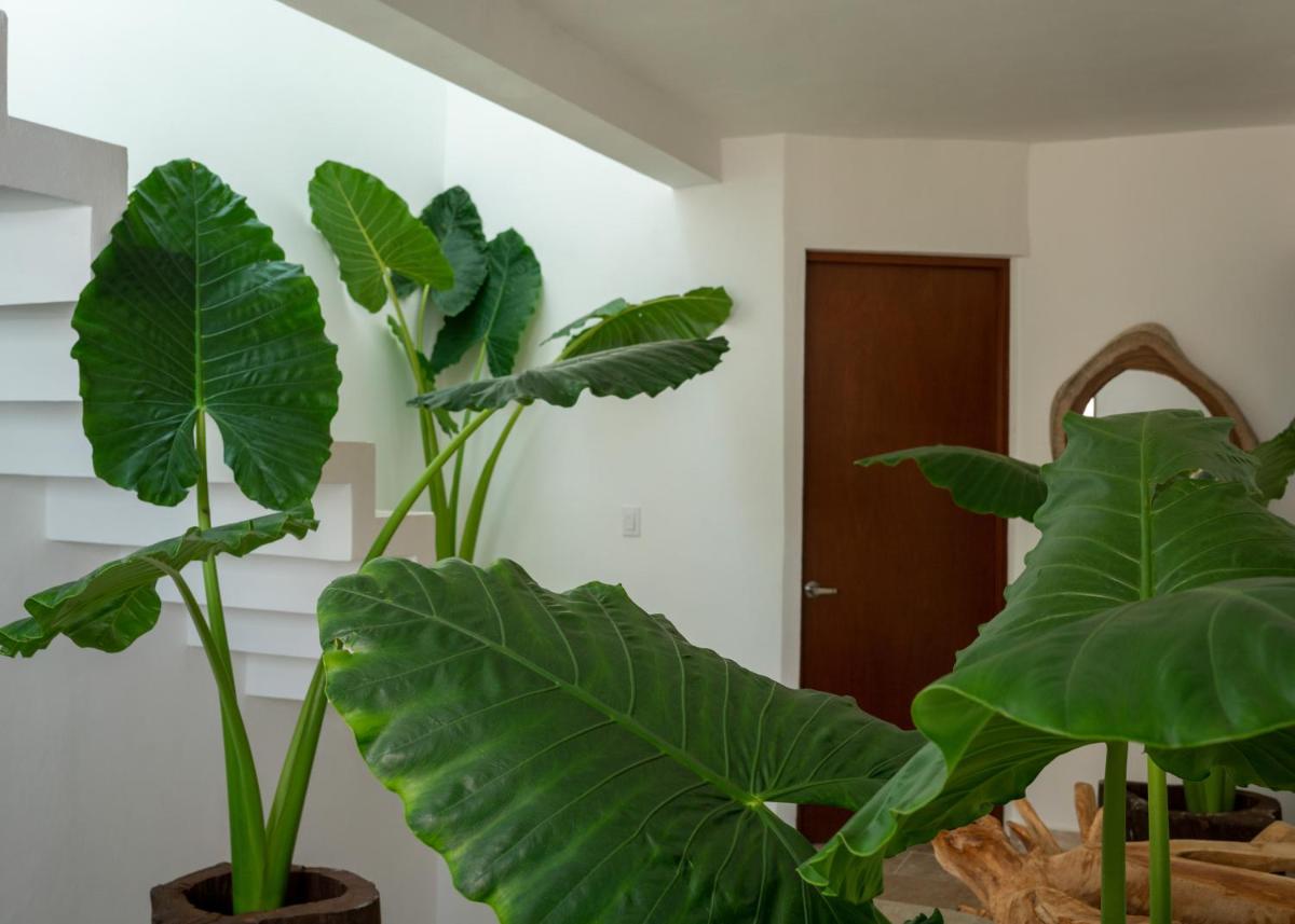 Recámara 3 Cancun - Housity