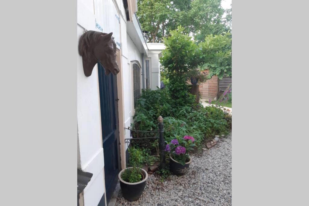 Oranjerie, 7 km onder Groningen - Housity
