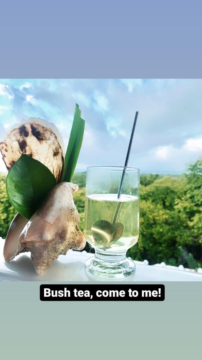 Carib Tea House cerca la playa - Housity