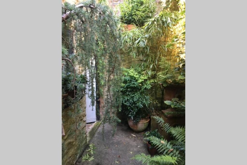 Beautiful Georgian Townhouse in Frome. - Housity