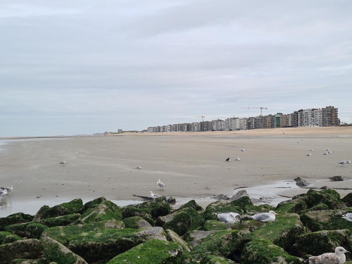 Résidence Jersey (app. 201) - Housity