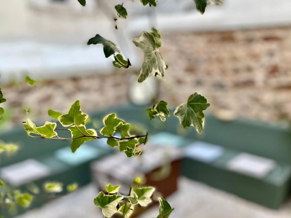 Five Brand New Boutique Apartments Central Athens - Housity