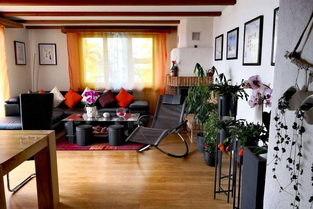 Chalet Xanadu with Amazing Alps & Lake View - Housity