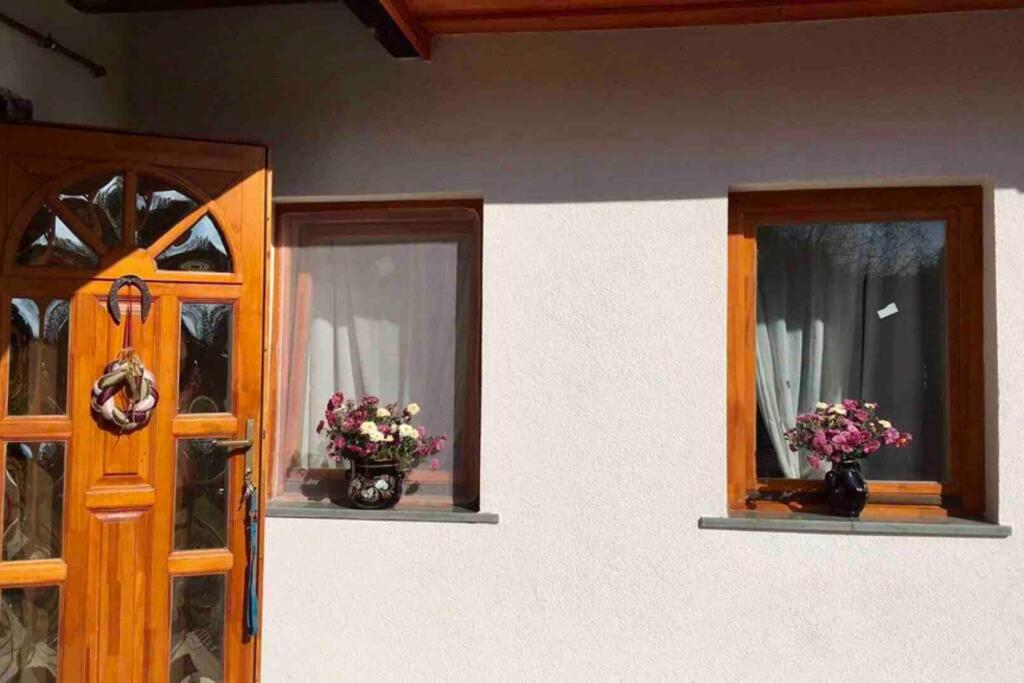 Feketevíz Vendégház - Nógrádon a Kéktúra vonalán. - Housity