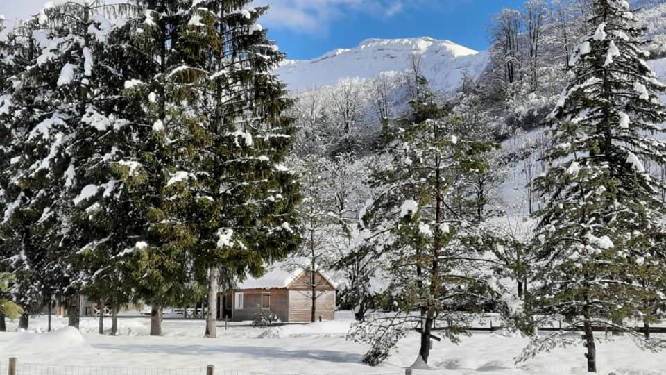 Le Valserine - Camping éco responsable - Housity