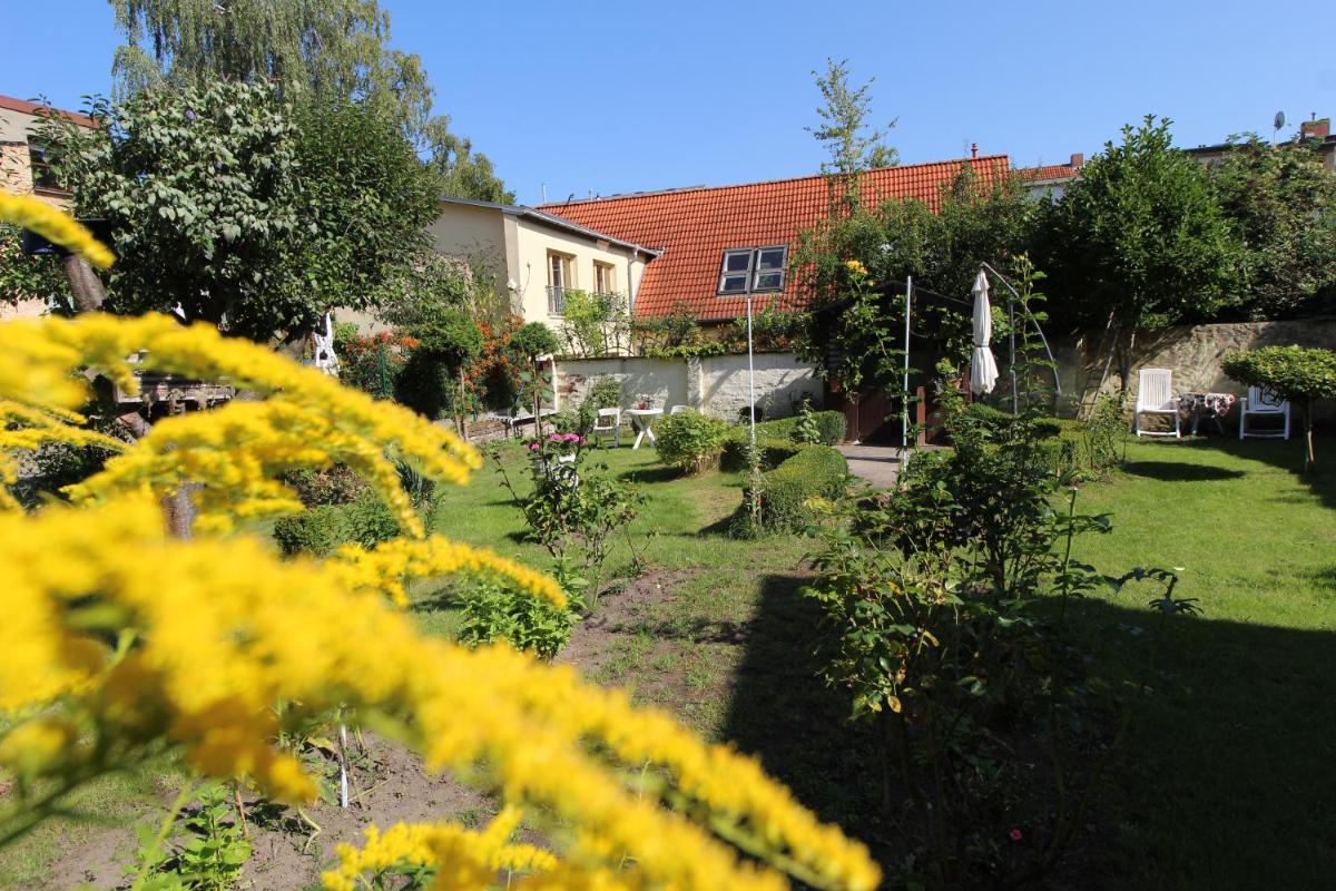Zentrale Ferienwohnung mit Gartennutzung - Housity