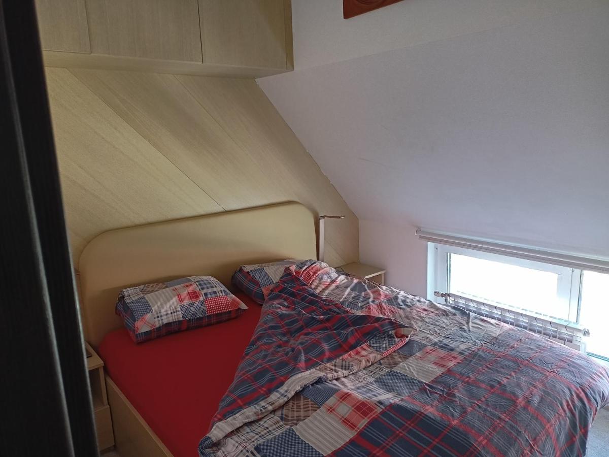 Bright apartment at a great location - Housity
