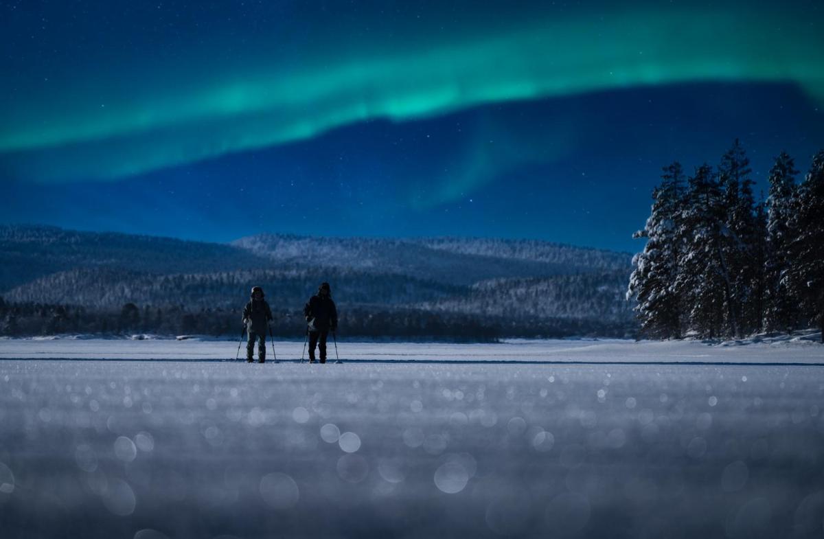Wilderness Hotel Nangu & Igloos - Housity