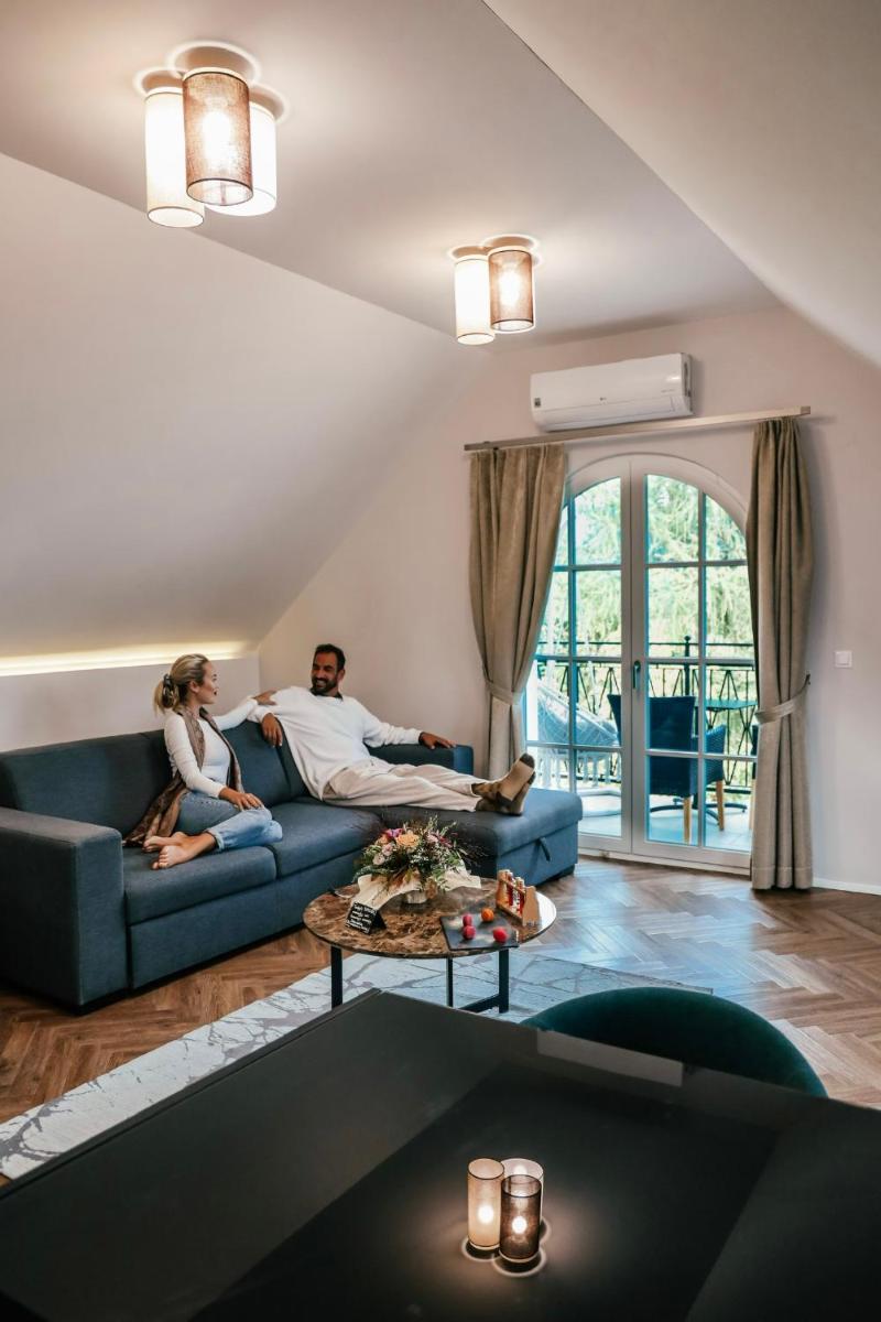 Design & Wine Vila Special Bled - Housity