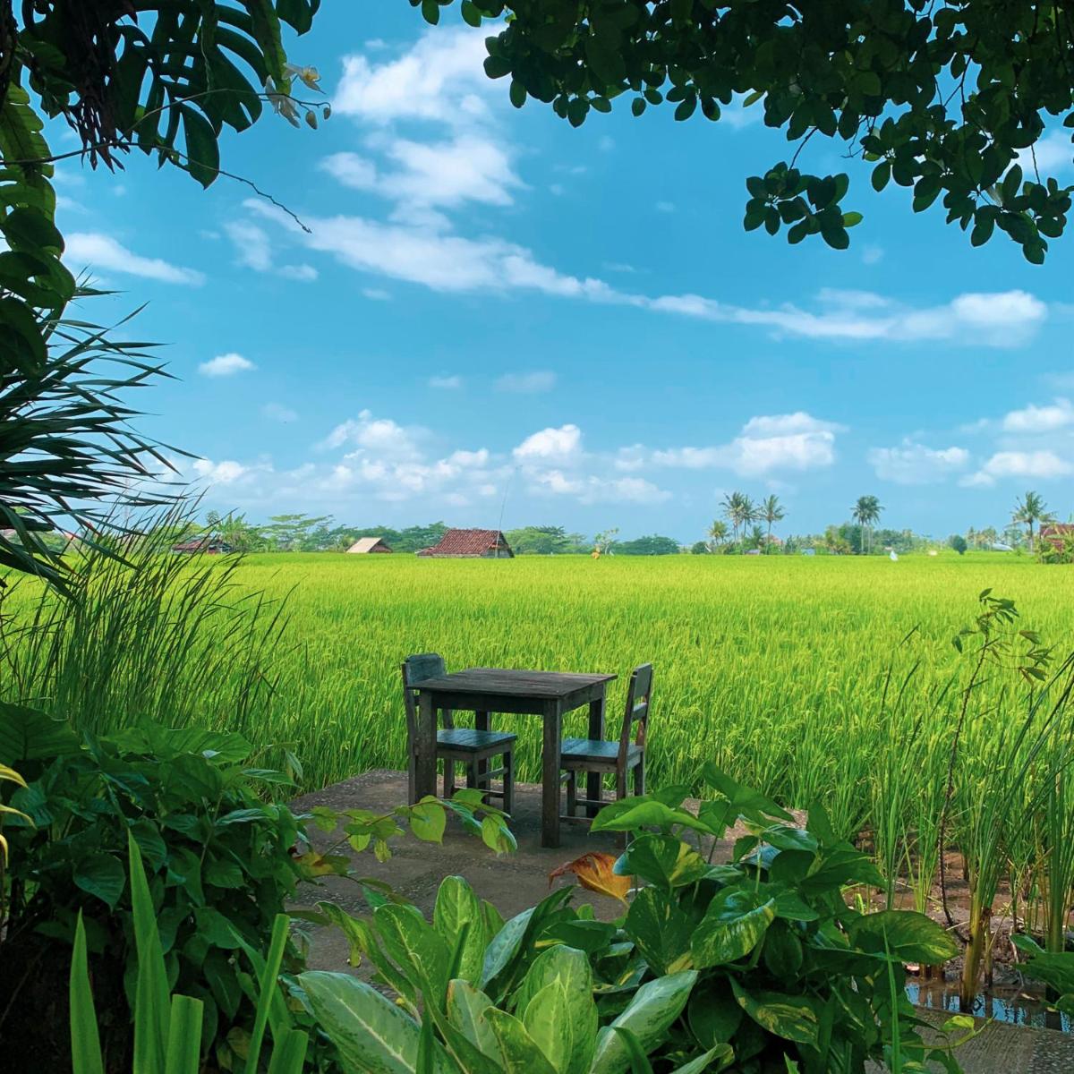 Suitetrails - Umasari Rice Terrace Villa