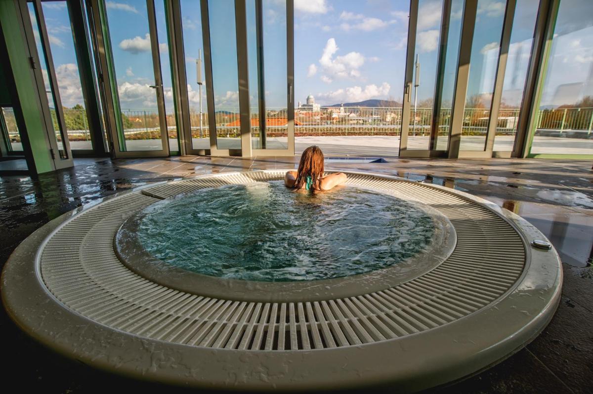 Wellness Hotel Thermal - Housity